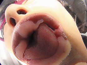 仮想バーチャル悩殺キス　サンプル画像08